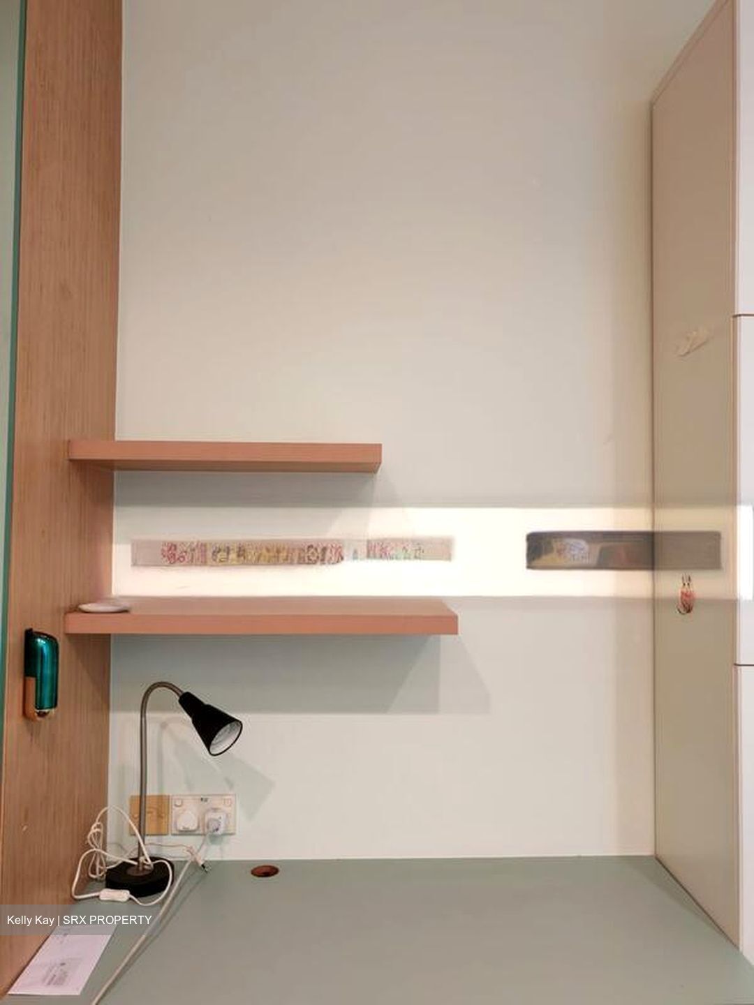 The Anchorage (D3), Condominium #486658481